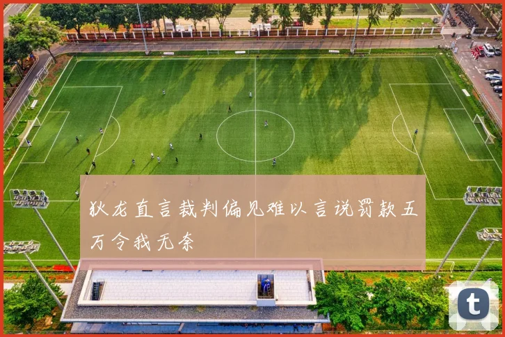 狄龙直言裁判偏见难以言说罚款五万令我无奈