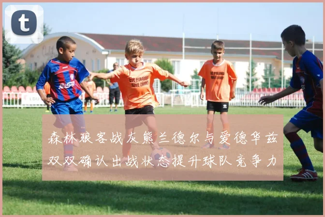 森林狼客战灰熊兰德尔与爱德华兹双双确认出战状态提升球队竞争力