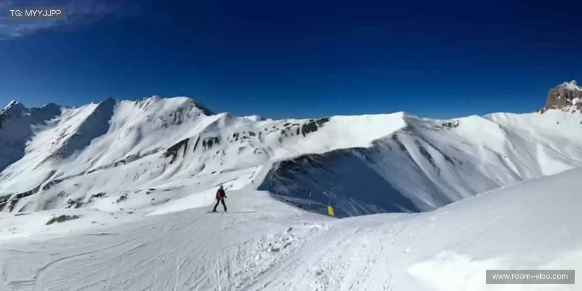 🎁 周边好物，把赛场带回家！